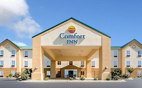 Comfort Inn Lexington South